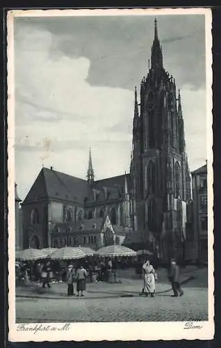 AK Alt-Frankfurt, Dom mit Markt