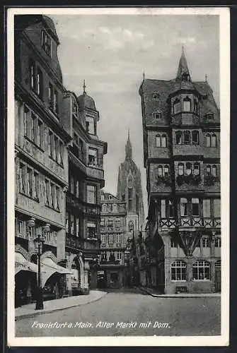 AK Alt-Frankfurt, Alter Markt mit Dom
