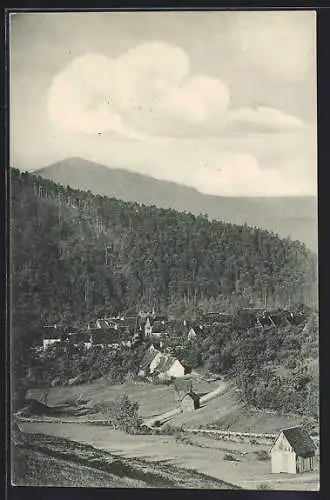 AK Scheuern im Murgtal, Teilansicht mit Strassenpartie