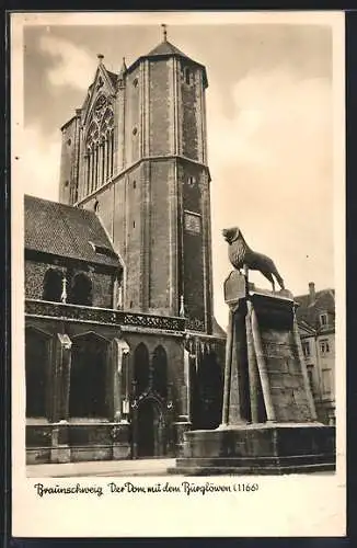 AK Braunschweig, Dom mit dem Burglöwen