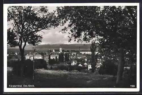 AK Fürstenfeld, Blick durch die Bäume auf den Ort