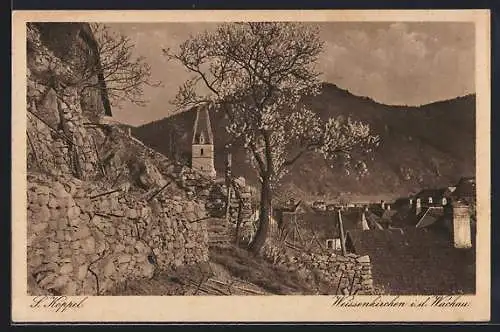 AK Weissenkirchen i. d. Wachau, Ortspartie im Frühling