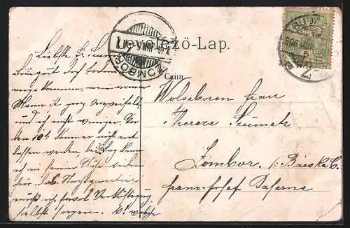 Lithographie Budapest, Partie am Franzensring