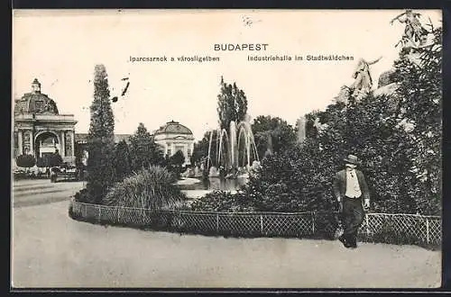 AK Budapest, Industriehalle im Stadtwäldchen