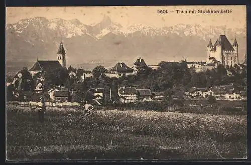 AK Thun, Ortsansicht mit Stockhornkette