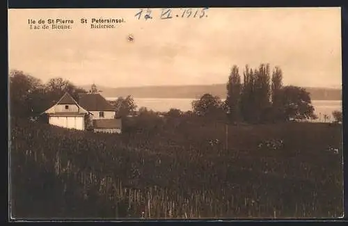 AK St. Petersinsel /Bielersee, Ortspartie mit Gebäuden und Wasserblick