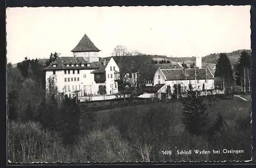 AK Ossingen, Schloss Wyden aus der Vogelschau