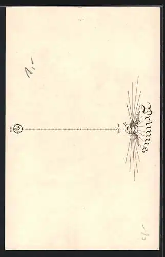 Künstler-AK Wohlgemuth & Lissner, Primus-Postkarte No. 2522: Strassenpartie mit Tor