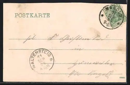 AK Nagold, Militär-Genesungsheim Waldeck, Aussenansicht