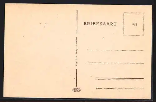 AK Ijmuiden, Havengezicht