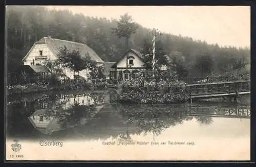 AK Eisenberg / S.- A., Gasthof Naupolds Mühle von der Teichinsel gesehen