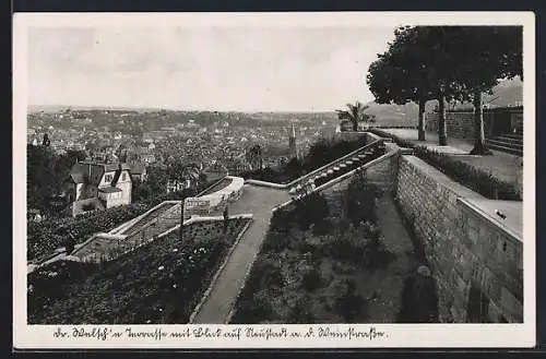 AK Neustadt / Weinstrasse, Dr. Welsch`e Terrassen mit Blick auf den Ort und die Weinstrasse