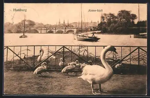 AK Hamburg, Alster-Idyll mit Schwänen