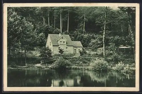 AK Langenthal / Kassel, Hotel Waldhaus Langenthal von Karl Hentz