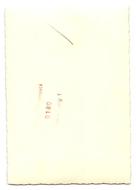 Fotografie junge Frau vor einem Mercedes Benz Bus Linie: Harz-Hamburg 1