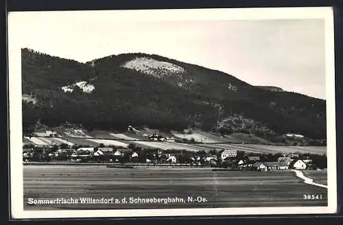 AK Willendorf a. d. Schneebergbahn, Ortspanorama mit Berg