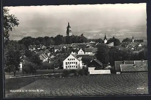 AK Wallsee a. d. Donau, Ortsansicht von einem Acker aus