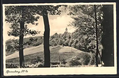 AK Bromberg, Kirche, aus der Ferne gesehen