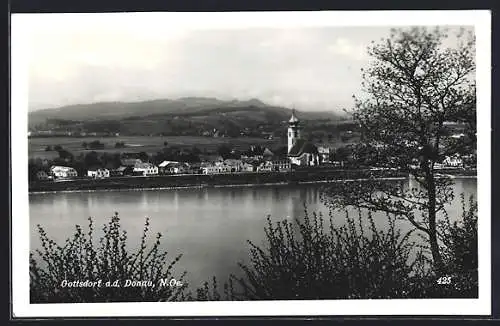 AK Gottsdorf, a.d.Donau, Panoramaansicht mit Kirche