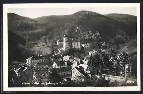 AK Kaltenleutgeben /N.-Oe., Teilansicht