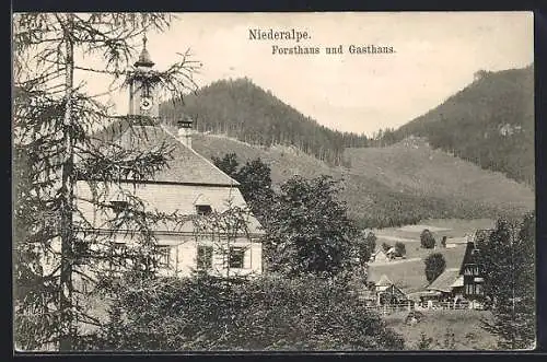 AK Mürzsteg, Niederalpe, Forsthaus und Gasthaus