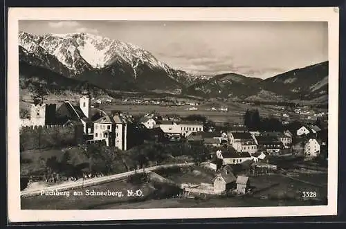 AK Puchberg am Schneeberg, Ortsansicht gegen die Berge