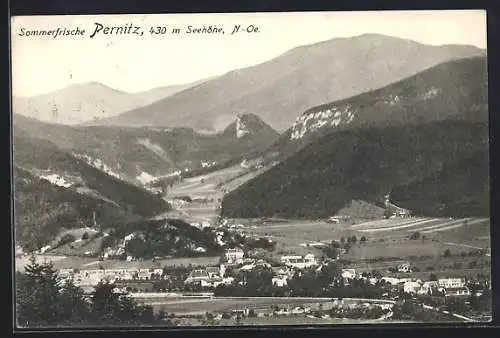 AK Pernitz /N.-Oe., Totalansicht gegen die Berge