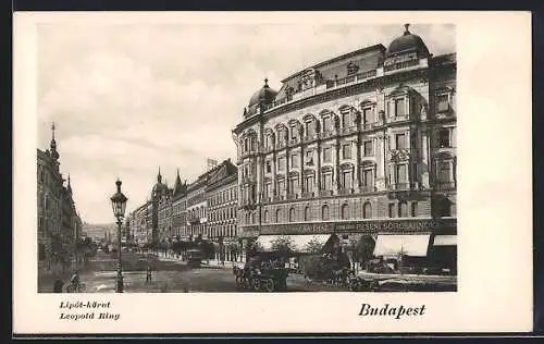 AK Budapest, Café Vigszinhaz am Leopold-Ring