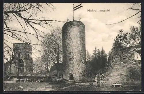 AK Nagold, Burg Hohennagold