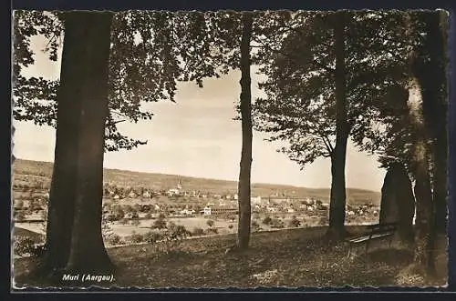 AK Muri /Aargau, Ortsansicht vom Waldrand aus