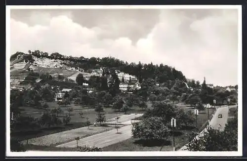 AK Rheineck, Marienburg mit Feldern und Strasse