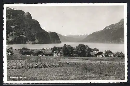 AK Brienz, Kienholz mit See und Bergen