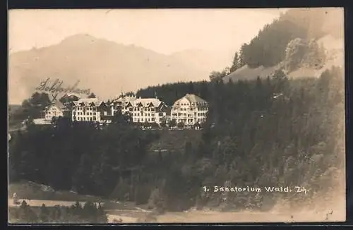 AK Wald /Zch., Blick auf das Sanatorium