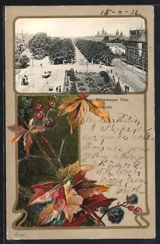 Passepartout-Lithographie Hannover, Herrenhäuser Allee mit Passanten, Brombeeren mit Herbstlaub