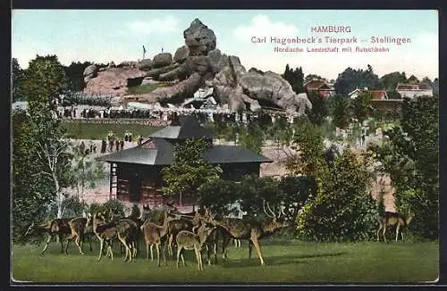 AK Hamburg-Stellingen, Carl Hagenbeck`s Tierpark, Nordische Landschaft mit Rutschbahn, Rehe und Hirsch