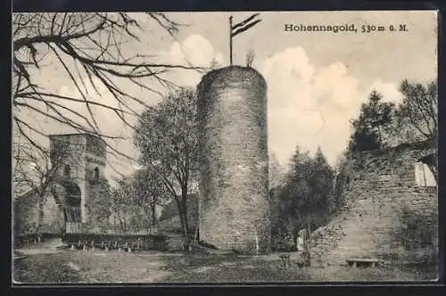 AK Nagold, Burg Hohennagold