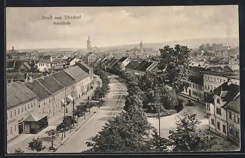 AK Ohrdruf, Blick über die Waldstrasse