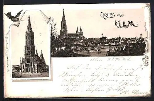 Lithographie Ulm / Donau, Blick auf das Münster, Ortsansicht