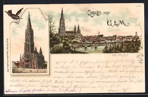 Lithographie Ulm / Donau, Blick auf das Münster, Ortsansicht