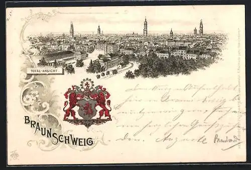 Lithographie Braunschweig, Panoramablick auf die Stadt