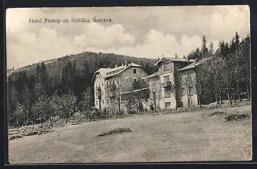 AK Spicak, Hotel Prokop