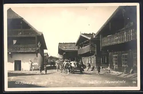 AK Wallern i. B., Blick in die Säumerstrasse, Ochsengespann