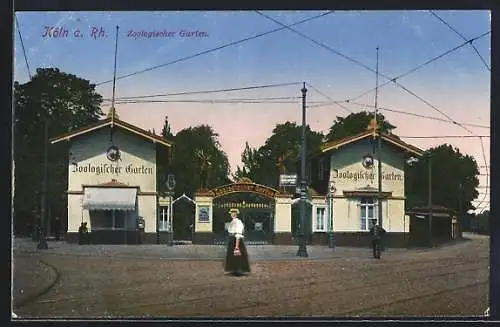 AK Köln a. Rh., Eingang zum Zoologischen Garten mit Strasse