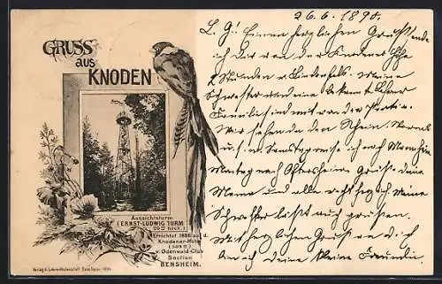 Vorläufer-AK Knoden, 1895, Aussichtsturm Ernst-Ludwig-Turm