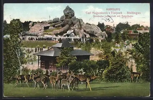 AK Hamburg-Stellingen, Carl Hagenbeck`s Tierpark, Nordische Landschaft mit Rutschbahn, Rehe und Hirsch