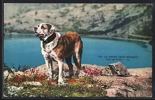 AK Bernhardiner vor Alpenlandschaft, le Grand Saint-Bernard