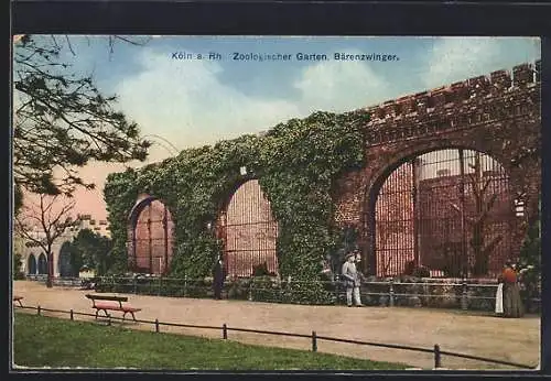 AK Köln, Zoologischer Garten, Partie am Bärenzwinger