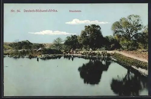 AK Deutsch-Südwest-Afrika, Uferpartie am Staudamm