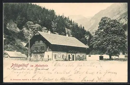 AK Malta /Kärnten, Pflügelhof im Maltathale