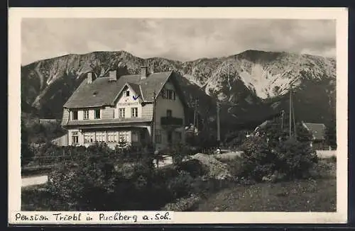 AK Puchberg a. Sch., Pension Triebl